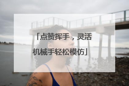 点赞挥手，灵活机械手轻松模仿