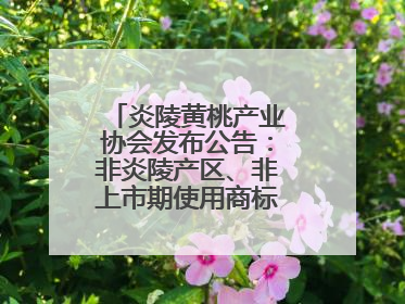 炎陵黄桃产业协会发布公告：非炎陵产区、非上市期使用商标包装均属侵权