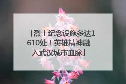 烈士纪念设施多达1610处！英雄精神融入武汉城市血脉