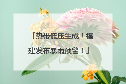 热带低压生成！福建发布暴雨预警！