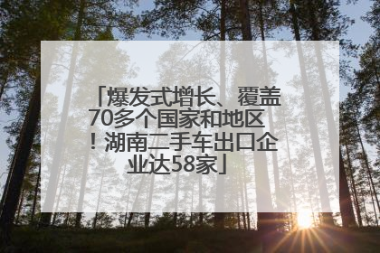 爆发式增长、覆盖70多个国家和地区！湖南二手车出口企业达58家