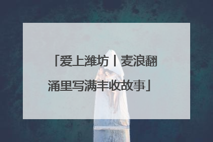 爱上潍坊丨麦浪翻涌里写满丰收故事