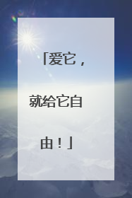 爱它，就给它自由！