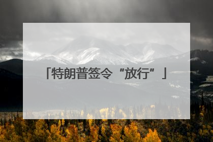 特朗普签令“放行”