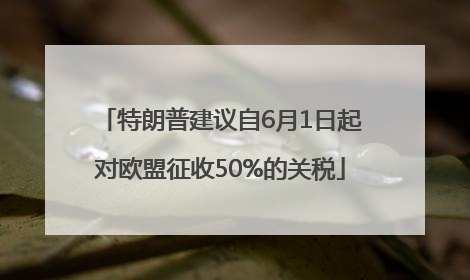 特朗普建议自6月1日起对欧盟征收50%的关税