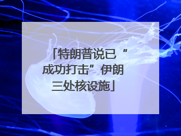 特朗普说已“成功打击”伊朗三处核设施
