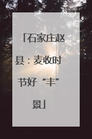 石家庄赵县：麦收时节好“丰”景