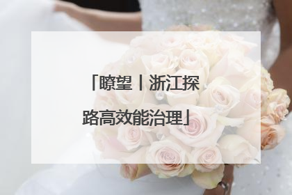 瞭望丨浙江探路高效能治理