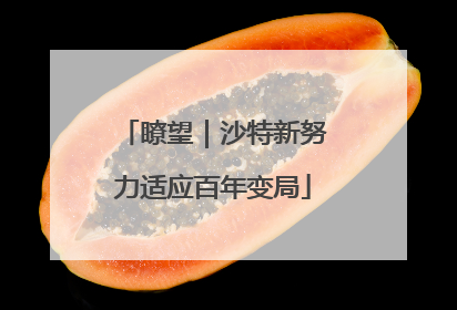 瞭望｜沙特新努力适应百年变局