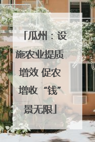 瓜州：设施农业提质增效 促农增收“钱”景无限