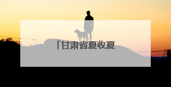 甘肃省夏收夏种陆续展开