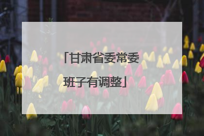 甘肃省委常委班子有调整