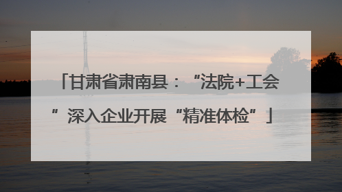 甘肃省肃南县：“法院+工会”深入企业开展“精准体检”