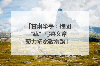 甘肃华亭：抱团“蔬”写菜文章 聚力拓宽致富路