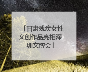 甘肃残疾女性文创作品亮相深圳文博会