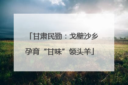 甘肃民勤：戈壁沙乡孕育“甘味”领头羊