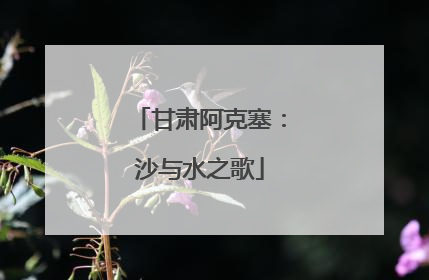 甘肃阿克塞：沙与水之歌