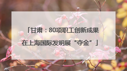 甘肃：80项职工创新成果在上海国际发明展“夺金”