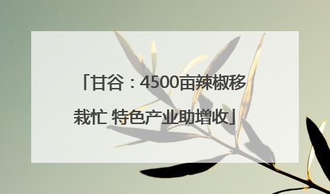 甘谷：4500亩辣椒移栽忙 特色产业助增收
