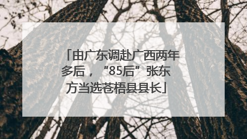 由广东调赴广西两年多后，“85后”张东方当选苍梧县县长