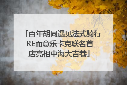 百年胡同遇见法式骑行 RE而意乐卡克联名首店亮相中海大吉巷