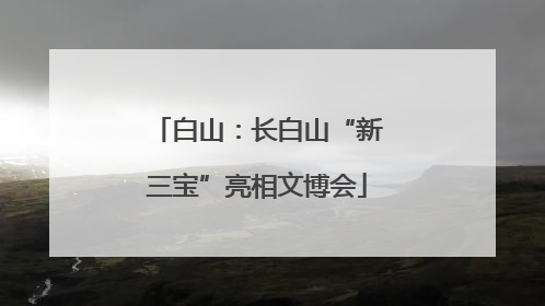 白山：长白山“新三宝”亮相文博会