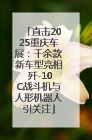 直击2025重庆车展：千余款新车型亮相 歼-10C战斗机与人形机器人引关注