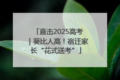 直击2025高考｜葵比人高！宿迁家长“花式送考”