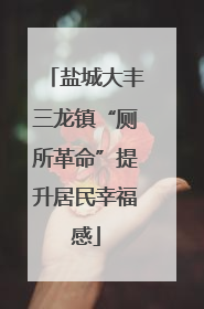 盐城大丰三龙镇“厕所革命”提升居民幸福感
