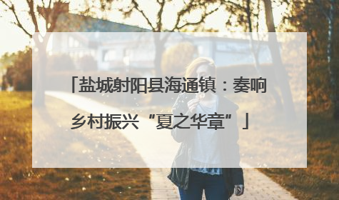 盐城射阳县海通镇：奏响乡村振兴“夏之华章”