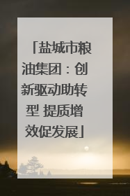 盐城市粮油集团：创新驱动助转型 提质增效促发展