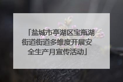 盐城市亭湖区宝瓶湖街道街道多维度开展安全生产月宣传活动