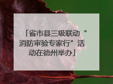 省市县三级联动“消防审验专家行”活动在德州举办
