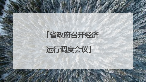 省政府召开经济运行调度会议