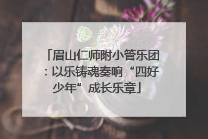 眉山仁师附小管乐团：以乐铸魂奏响“四好少年”成长乐章