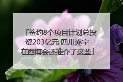 签约8个项目计划总投资203亿元 四川遂宁在西博会还推介了这些