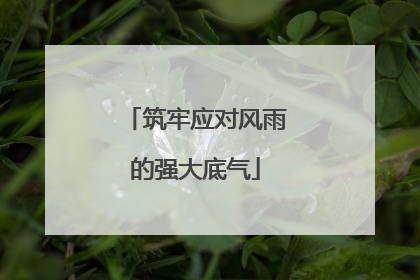 筑牢应对风雨的强大底气
