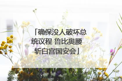 确保没人破坏总统议程 鲁比奥腰斩白宫国安会