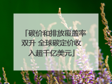 碳价和排放覆盖率双升 全球碳定价收入超千亿美元