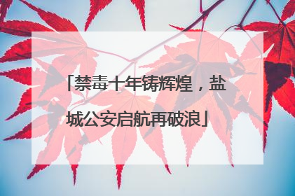 禁毒十年铸辉煌，盐城公安启航再破浪