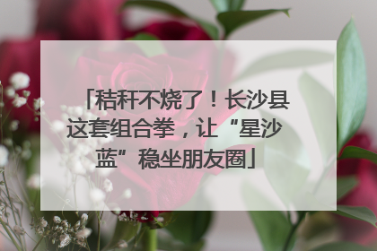 秸秆不烧了！长沙县这套组合拳，让“星沙蓝”稳坐朋友圈