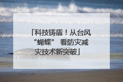 科技铸盾！从台风“蝴蝶” 看防灾减灾技术新突破