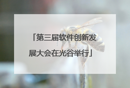 第三届软件创新发展大会在光谷举行
