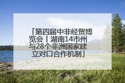 第四届中非经贸博览会丨湖南14市州与28个非洲国家建立对口合作机制