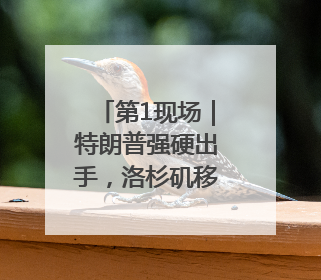 第1现场｜特朗普强硬出手，洛杉矶移民冲突如何破局