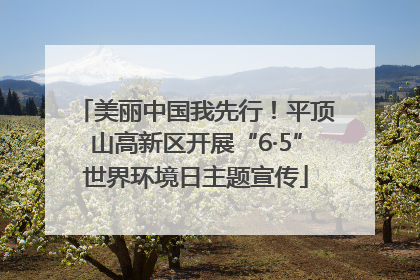 美丽中国我先行！平顶山高新区开展“6·5”世界环境日主题宣传