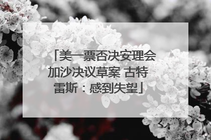 美一票否决安理会加沙决议草案 古特雷斯：感到失望