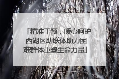 精准干预，暖心呵护 西湖区助联体助力困难群体重塑生命力量