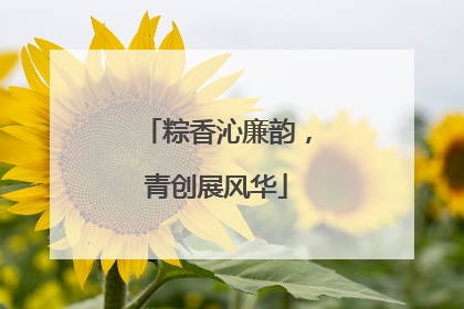 粽香沁廉韵，青创展风华