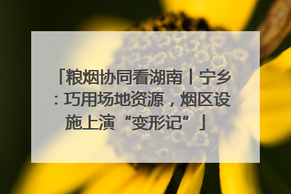粮烟协同看湖南丨宁乡：巧用场地资源，烟区设施上演“变形记”